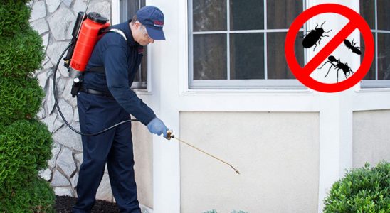 Sinop Karınca İlaçlama böcek ilaçlama ve haşere kontrolü — ilaclama-tr.com